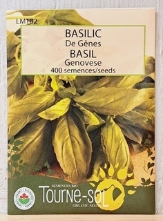 SEEDS - Basil Genovese (Tourne-sol)